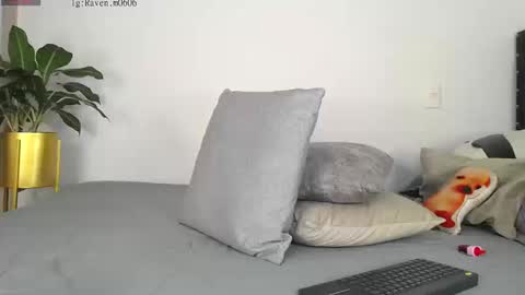 Raven online show from 19, 9, 2025