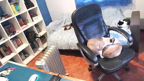 ravingr3d3 online show from 11, 1, 2026