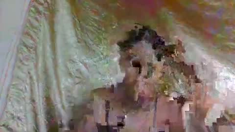 ravomamy online show from 8, 1, 2026