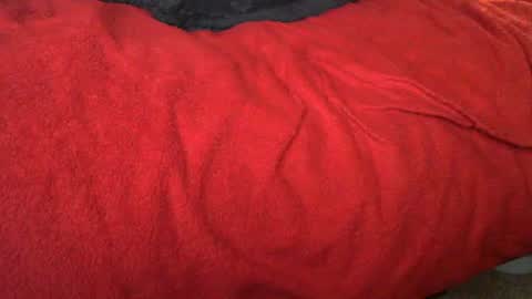 raymondo1964 online show from 12, 11, 2025