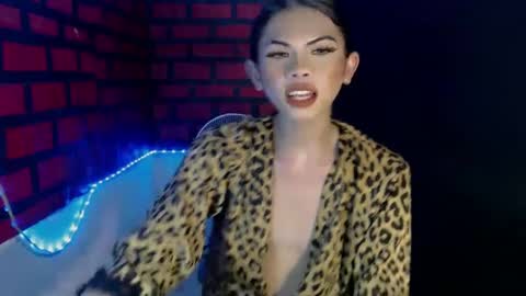 cindy online show from 11, 12, 2024