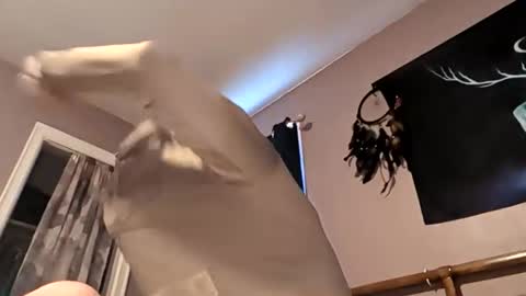 raziebaby online show from 27, 4, 2026