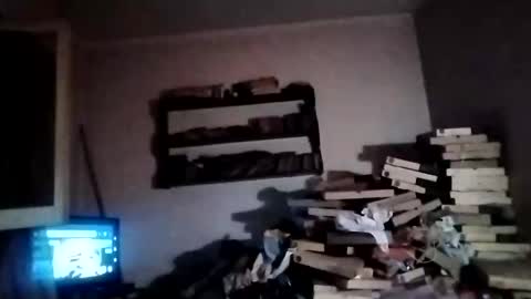 rdcervetto81 online show from 15, 1, 2026