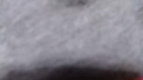 Snapshot of ready2fuk647232 chatting on 2, 11, 2025 ready2fuk647232 online show from 2, 11, 2025