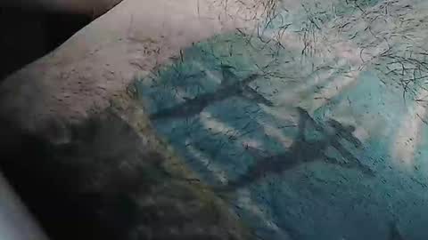 realrubpirate online show from 9, 2, 2026