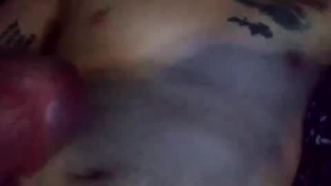 Reise online show from 13, 3, 2026