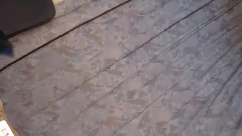 rema_thebigcock online show from 15, 2, 2026