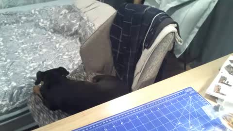 reunionussr online show from 16, 11, 2025