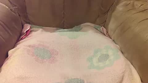 Mark online show from 17, 9, 2025