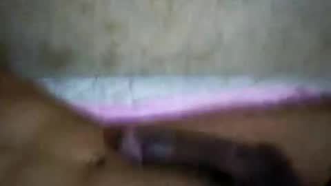 Snapshot of rica1234567890961640 chatting on 21, 10, 2025 rica1234567890961640 online show from 21, 10, 2025