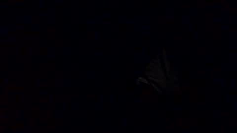 Snapshot of richardsone1 chatting on 12, 10, 2025 Babu online show from 12, 10, 2025