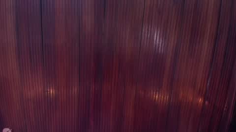 Snapshot of riley_reid_19 chatting on 16, 12, 2024 kamila online show from 16, 12, 2024