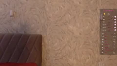 Snapshot of rinaray chatting on 17, 6, 2026 Rina online show from 17, 6, 2026