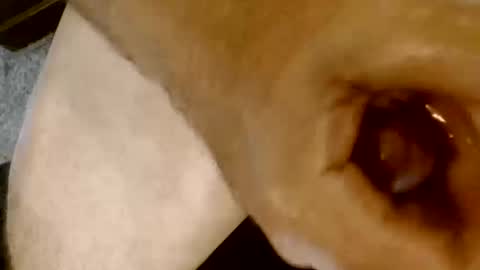 risingphoenix23 online show from 13, 10, 2025