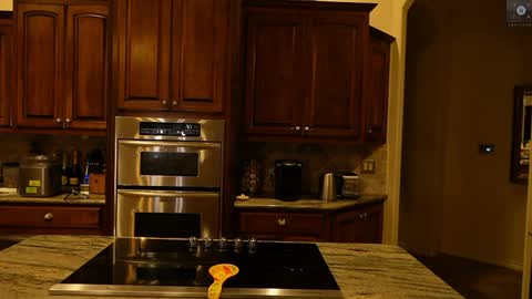 Ryan aka KeylimeRy online show from 9, 4, 2026