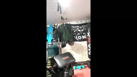 rob online show from 1, 3, 2026