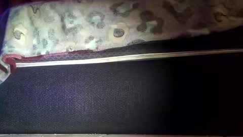 Snapshot of robert227818 chatting on 8, 11, 2025 robert227818 online show from 8, 11, 2025