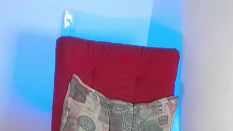 Snapshot of robert_leroy chatting on 1, 2, 2025 Stiven - online show from 1, 2, 2025