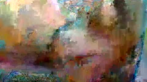 Robgrappler online show from 17, 1, 2026