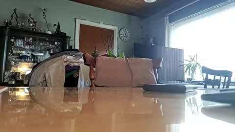 Snapshot of robke1966 chatting on 22, 1, 2025 robke1966 online show from 22, 1, 2025