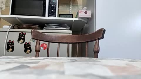 robke1966 online show from 24, 3, 2026