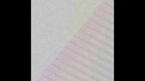 Roes Jam  Roe  online show from 29, 12, 2024