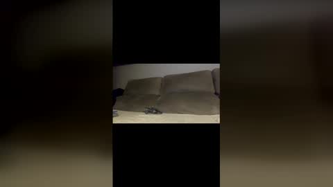 rogerbenid81 online show from 5, 4, 2026