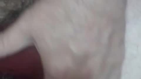 rokk_dude online show from 26, 10, 2025