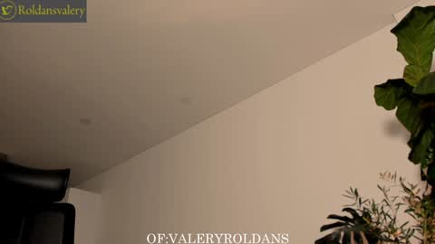 Snapshot of roldansvalery chatting on 22, 12, 2024 Valery Roldans online show from 22, 12, 2024