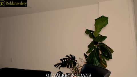 Snapshot of roldansvalery chatting on 24, 12, 2024 Valery Roldans online show from 24, 12, 2024