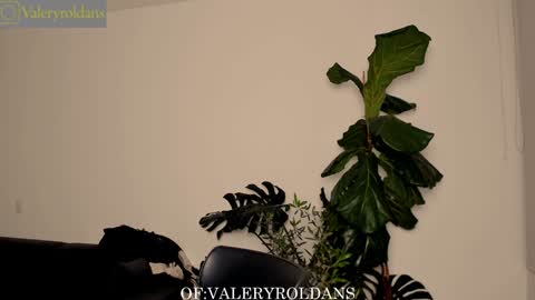 Snapshot of roldansvalery chatting on 4, 2, 2025 Valery Roldans online show from 4, 2, 2025