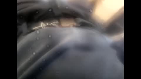 rollino83 online show from 9, 11, 2025