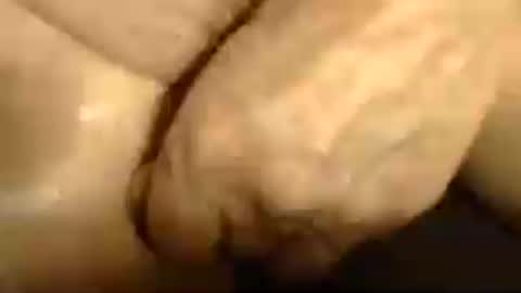 romantiko9 online show from 13, 6, 2026