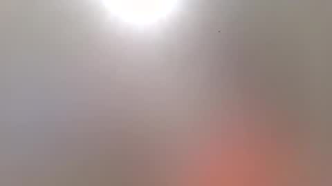 Trinked online show from 17, 11, 2025