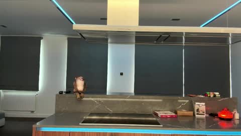 Ketlyn  is here now  help me get 50 thumbs up pls  online show from 2, 4, 2026