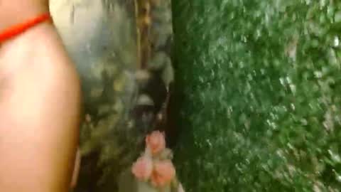 Snapshot of rosa_skinny chatting on 18, 4, 2026 rosa online show from 18, 4, 2026