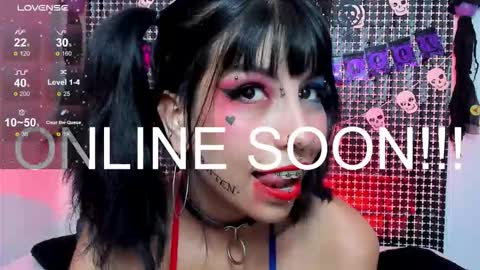 Ally online show from 14, 11, 2025