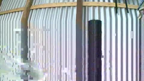 rosia online show from 10, 1, 2026