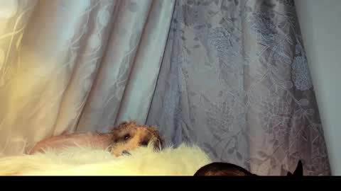 Rosita online show from 26, 2, 2026