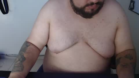 Bear online show from 8, 1, 2026