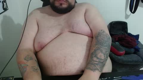 Bear online show from 4, 2, 2026