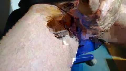 Snapshot of rudi_rudi_rudi_rudi chatting on 13, 7, 2026 rudi_rudi_rudi_rudi online show from 13, 7, 2026