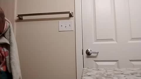 ruinvale online show from 28, 10, 2025