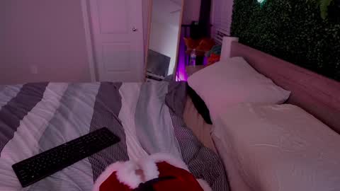 Lady online show from 9, 12, 2024