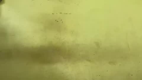 Snapshot of rupali01 chatting on 24, 3, 2026 Rupali online show from 24, 3, 2026