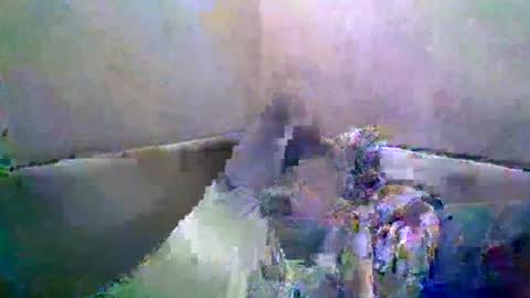 Snapshot of rusqadisx chatting on 17, 7, 2026 rusqadisx online show from 17, 7, 2026