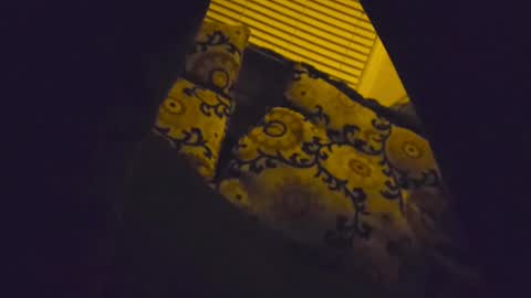 Snapshot of ryanfc85 chatting on 8, 2, 2026 RFC666 online show from 8, 2, 2026