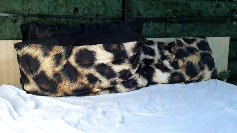 ryanstorm1 online show from 24, 10, 2025