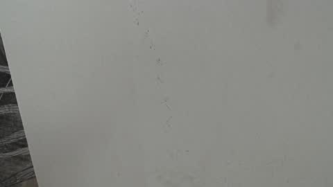 rylierouse online show from 25, 10, 2025