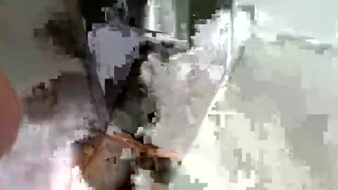 ryucravenmore online show from 14, 10, 2025